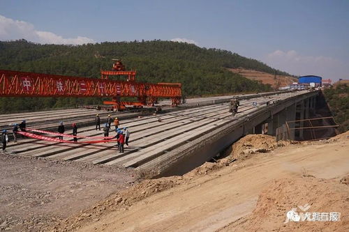 最新消息 楚大高速公路扩容工程首座桥梁架设完成